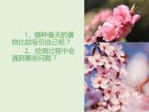 2020—2021學年人教版美術 七年級下冊第二單元 第1課色彩的魅力 課件
