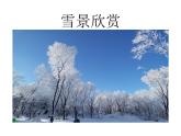 第六章 冰雪类运动的基本技术 高山滑雪概述--初中体育与健康华东师大版七年级全一册同步课件
