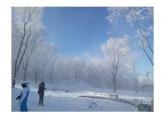 第六章 冰雪类运动的基本技术 高山滑雪概述--初中体育与健康华东师大版七年级全一册同步课件