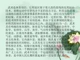 第七章 武术类运动的特点与价值--初中体育与健康华东师大版七年级全一册同步课件