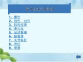 人教版八年级体育全一册：1.2常见运动损伤的预防和紧急处理-课件(1)