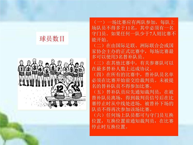 人教版八年级体育全一册-第3章足球足球比赛规则-课件05