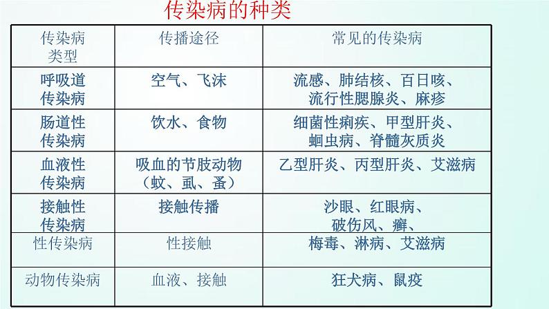 人教版七年级体育 1.4常见传染病的预防 课件07