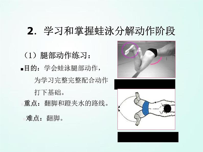 人教版七年级体育 9.4蛙泳完整动作 课件（27ppt）第6页