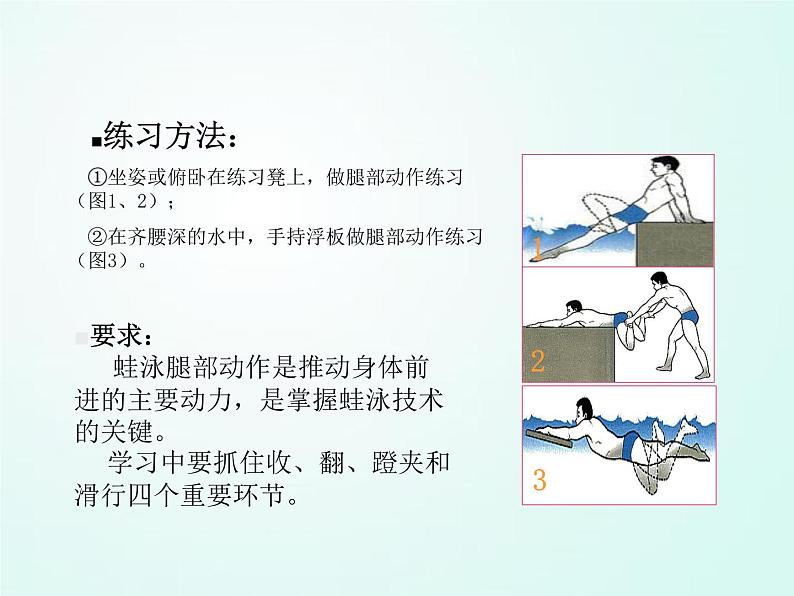 人教版七年级体育 9.4蛙泳完整动作 课件（27ppt）第7页