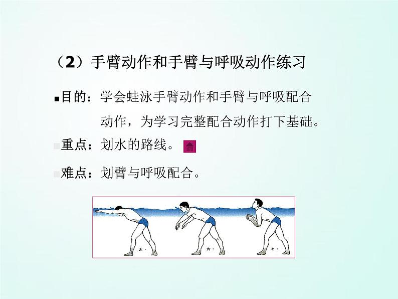 人教版七年级体育 9.4蛙泳完整动作 课件（27ppt）第8页
