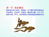 人教版七年级体育 9游泳 蛙泳基础  课件