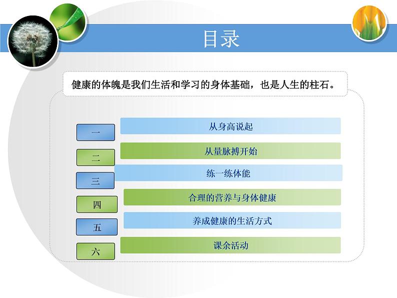 人教版七年级 体育与健康 第一章   体育与健康理论知识(5) 课件02