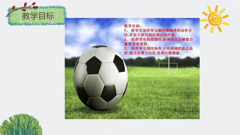 人教版七年级 体育与健康 第三章 足球脚内侧传球 课件03