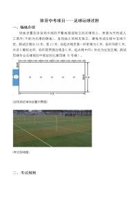 初中体育人教版九年级全一册第三章 足球教学设计