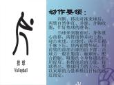 初中体育与健康 教科课标版 八年级 排球正面双手垫球 课件