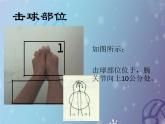 初中体育与健康 教科课标版 八年级 排球正面双手垫球 课件