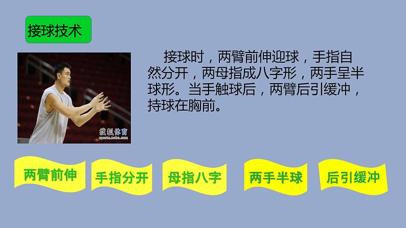 初中体育与健康 教科课标版 七年级 篮球 双手胸前传接球 课件第3页