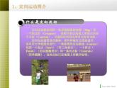 初中体育与健康 华东师大课标版 七年级 体验运动乐趣与成功 定向运动理论课讲稿 课件
