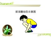 初中体育与健康 华东师大课标版 七年级 体操类运动的基本技术 远撑前滚翻 课件