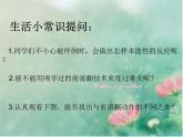 初中体育与健康 华东师大课标版 七年级 体操类运动的基本技术 远撑前滚翻 课件