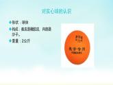 初中体育与健康 华东师大课标版 九年级 田径类运动基本技术的运用 双手正面掷心球 课件