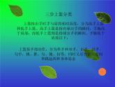 初中体育与健康 人教课标版 七年级 篮球三步上篮 课件