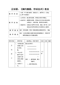 初中体育人教版七年级全一册第三章 足球教案