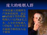 初中体育与健康 拒绝吸烟、酗酒吸烟的危害课件PPT