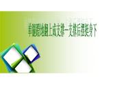 华东师大版七年级体育与健康 4.1体操类运动的基本技术 单腿蹬地翻上成支撑—支撑后摆挺身下 课件