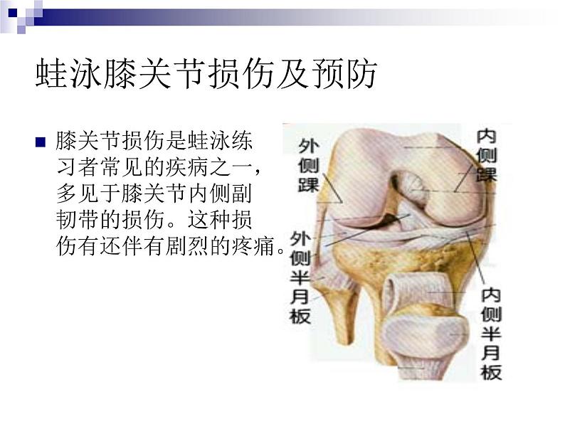 华东师大版七年级体育与健康 5.2游泳类运动的注意事项 课件04