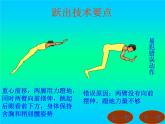华东师大版七年级体育与健康 4.1体操类运动的基本技术 鱼跃前滚翻 课件
