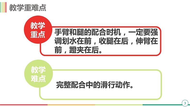 华东师大版七年级体育与健康 5.1游泳类运动的基本技术 蛙泳 课件第3页