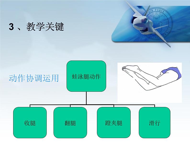 华东师大版八年级体育与健康全一册第五章游泳类运动 PPT第8页