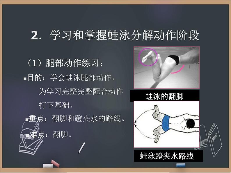9.4蛙泳完整动作 课件第6页