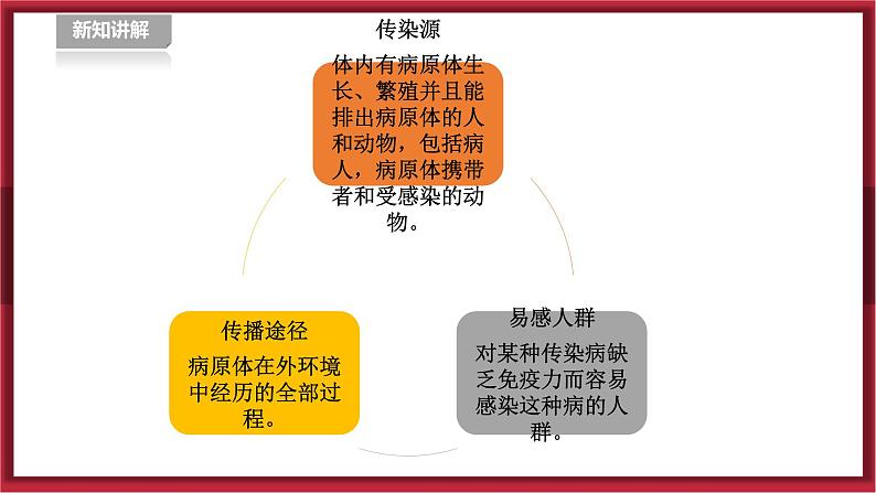 人教版七年级全一册体育  第一章《体育与健康理论知识》  第4课时 常见传染病的预防（课件+教案）07