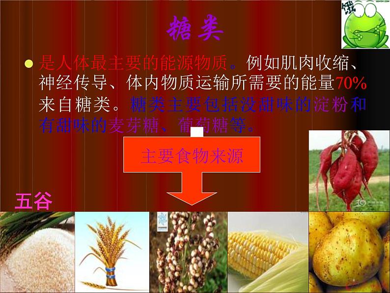 华东师大版七年级体育与健康 9.5能吃与会吃 饮食与健康 课件第3页