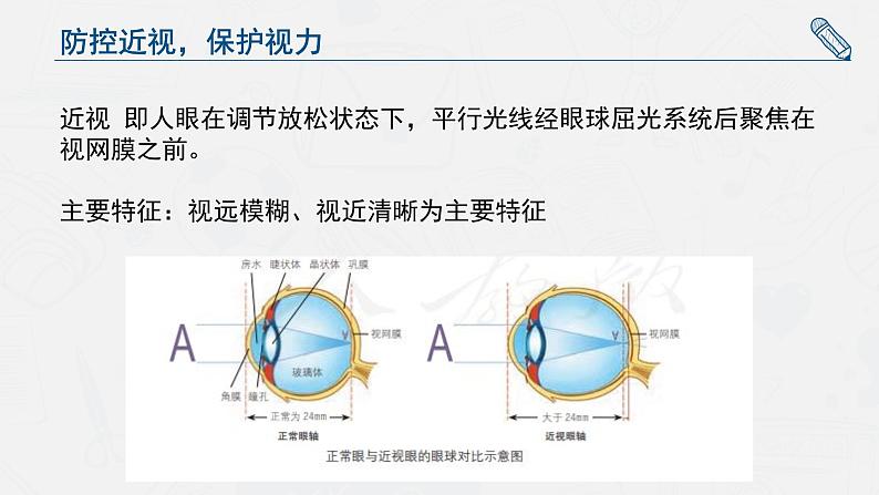 人教版七年级全册《防控近视  保护视力》PPT课件第4页