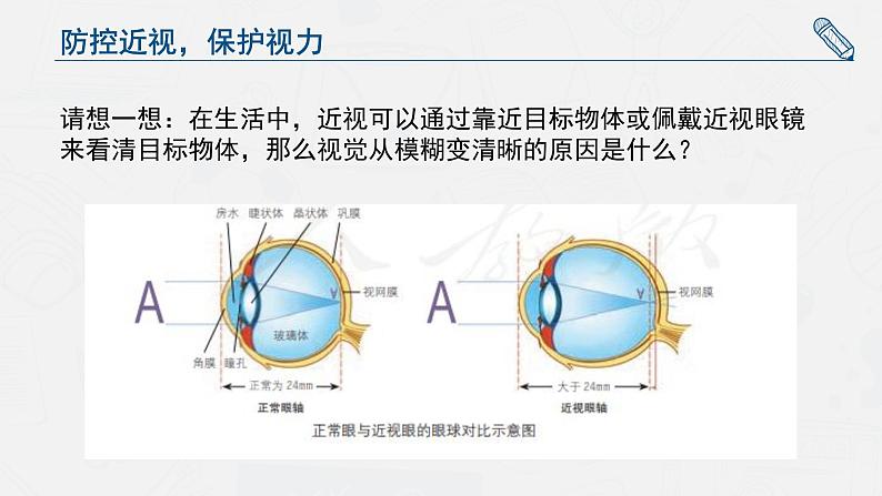 人教版七年级全册《防控近视  保护视力》PPT课件第6页