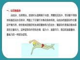 人教八年级 第十章《游泳》课件