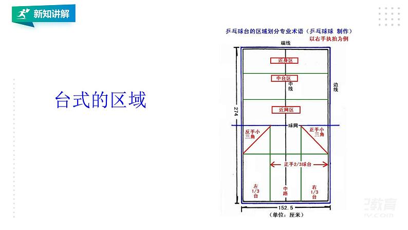 【掌控课堂】人教版  初中体育与健康 八年级 第六章《乒乓球》 课件第7页