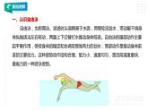 【掌控课堂】人教版  初中体育与健康 八年级 第十章《游泳》  课件