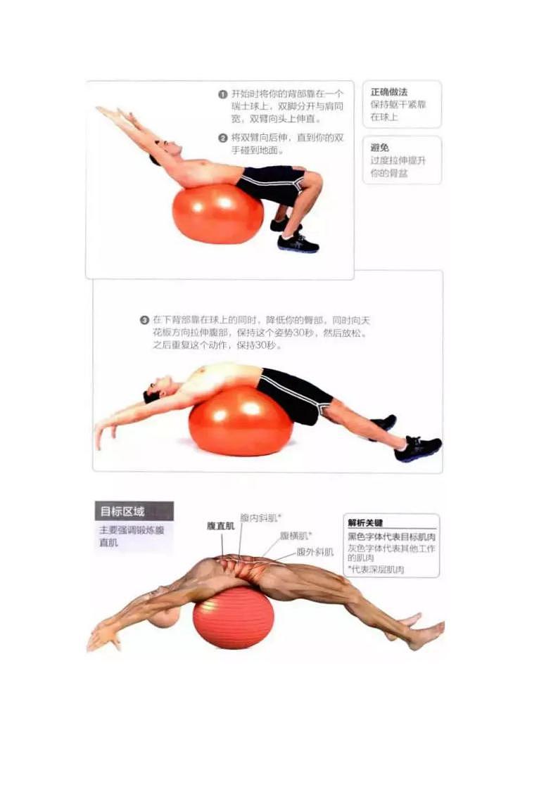 初中体育与健康核心肌群训练讲义教案03