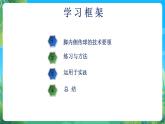 人教版八年级 体育与健康 第三章 足球抢截球-脚内侧传球 课件