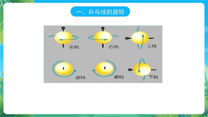 人教版八年级 体育与健康 第六章 乒乓球 课件04