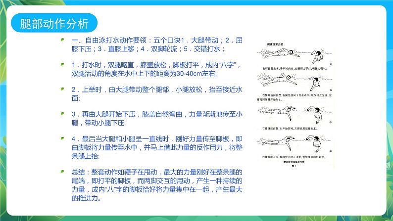 人教版八年级体育与健康《自由泳》参考课件03