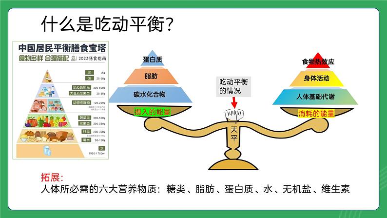 第二单元 第四课 吃动平衡，健康体重—初中体育与健康七年级全一册 教学课件 人教版（2024）第4页