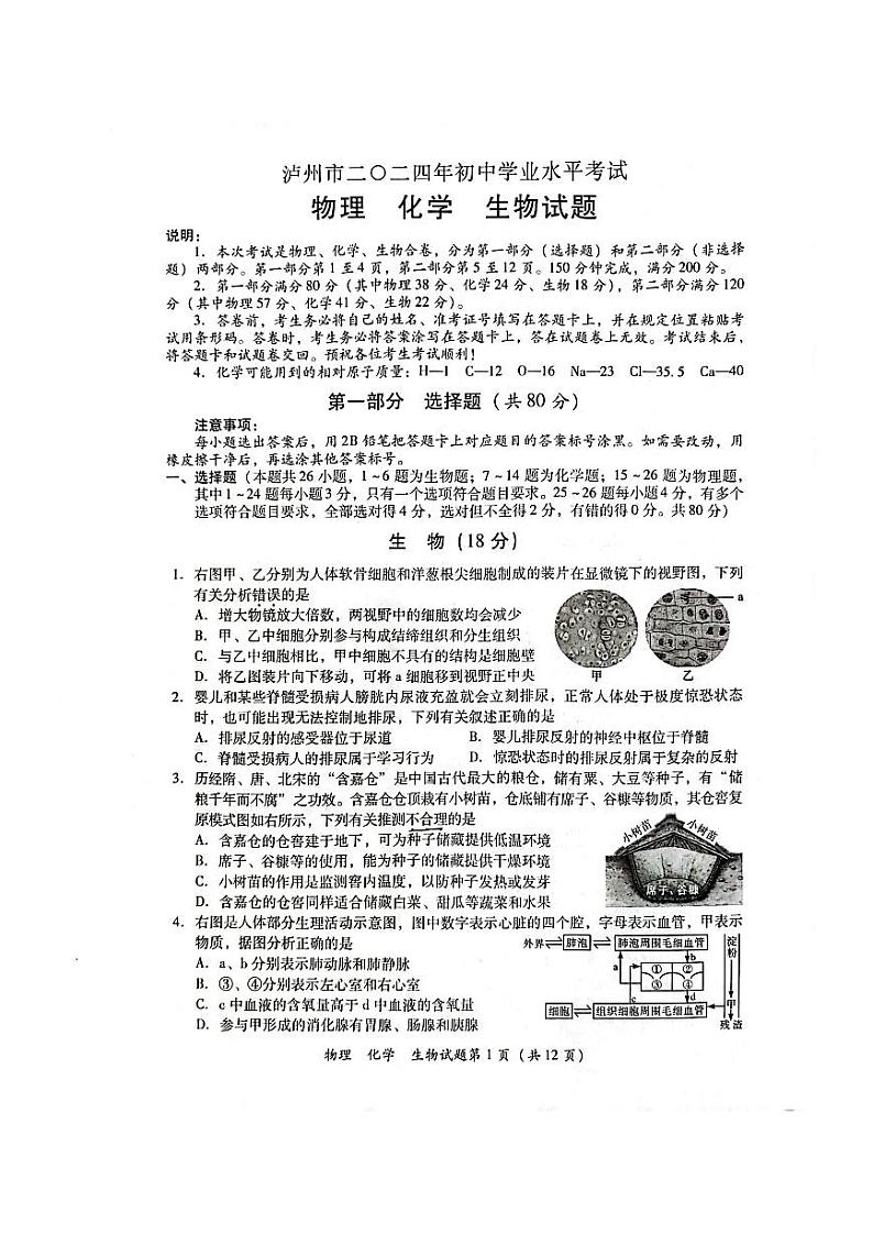2024年四川省泸州市中考物理、化学、生物（理综）真题（无答案）01