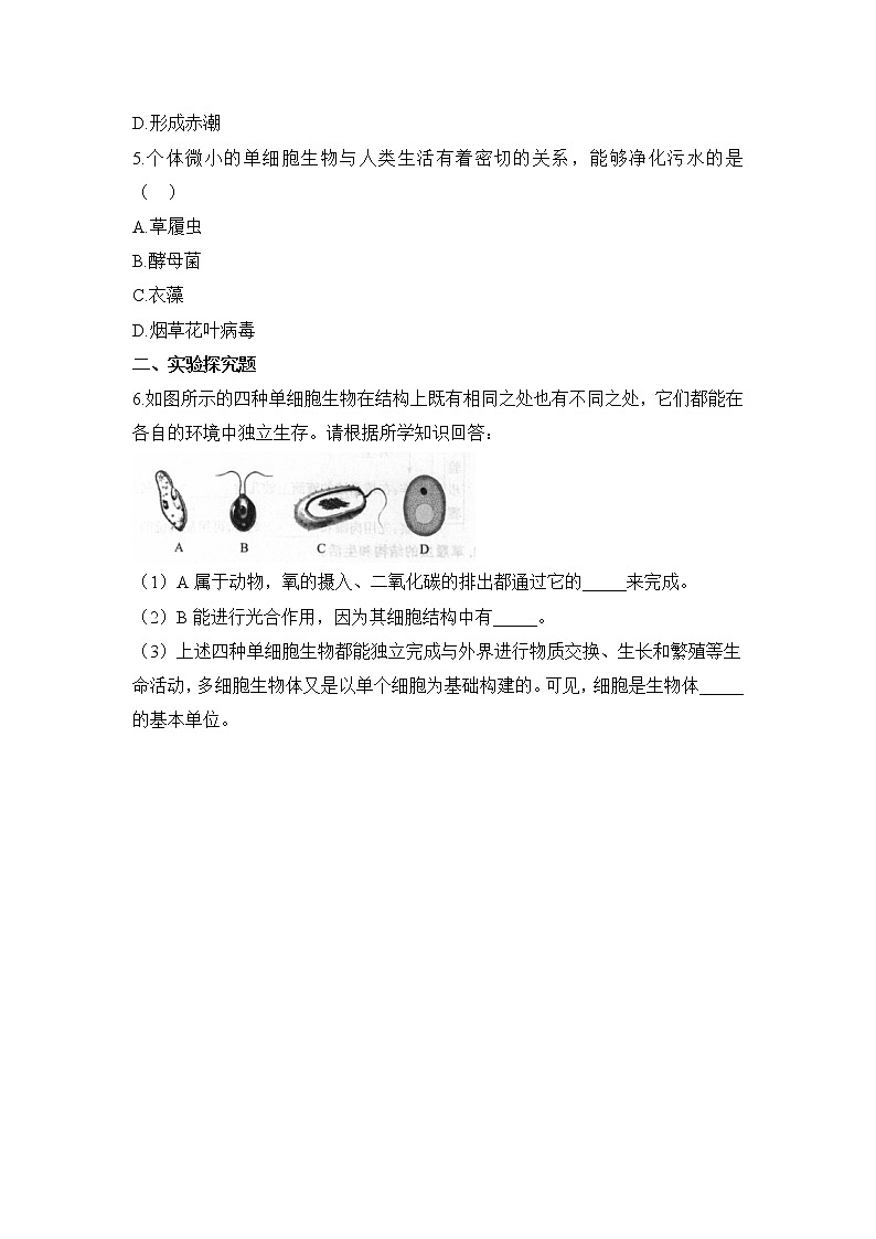 人教版生物七年级上册《单细胞生物》同步练( 含解析  )第2页