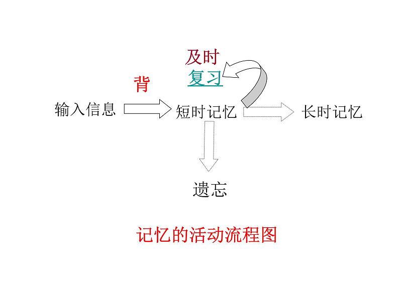 闽教版心理健康八年级 7.训练你的记忆力 课件08