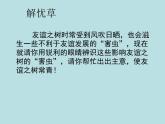 7.友谊之树常青 课件   2021-2022学年心理健康七年级-闽教版