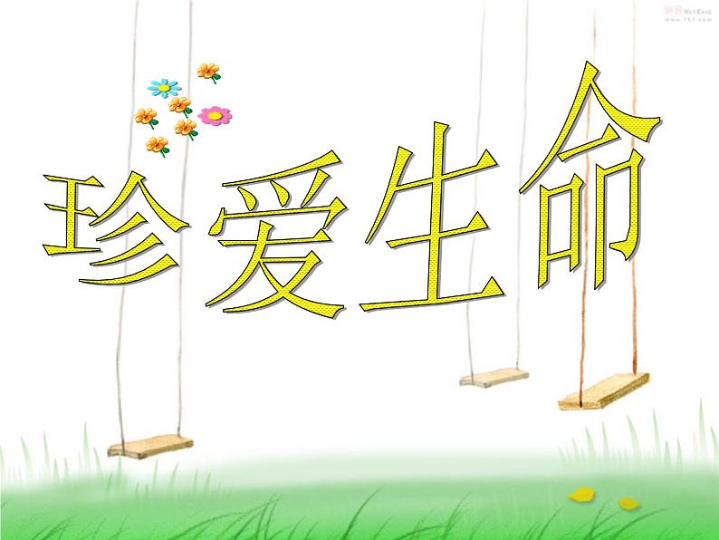 闽教版心理健康七年级 28.珍爱生命 课件第2页