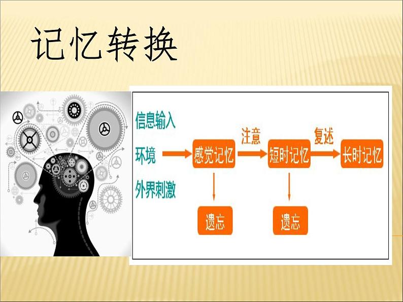 闽教版心理健康七年级 4 学习讲方法 课件PPT07