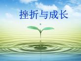 闽教版心理健康七年级 13 挫折与成长 课件PPT