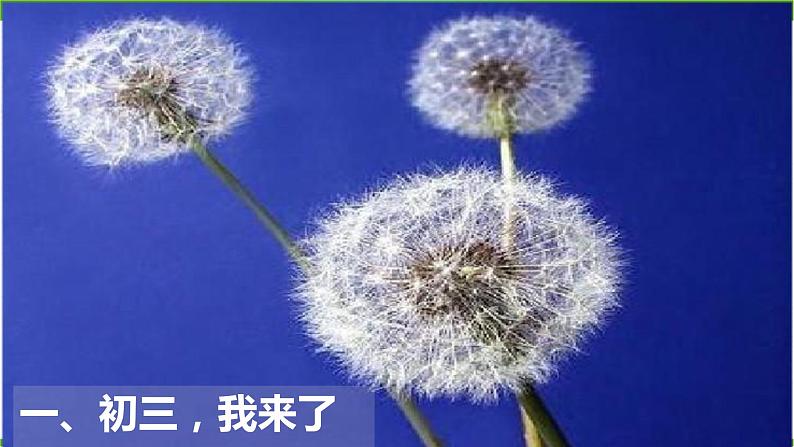 第一课《初三，我来了》教学课件第1页